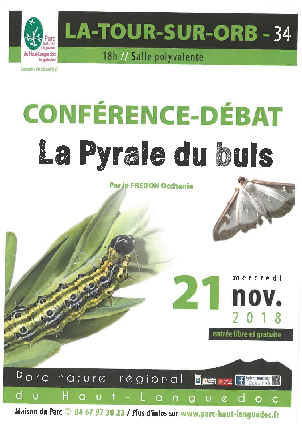 Information sur la Pyrale du buis 21 novembre 2018