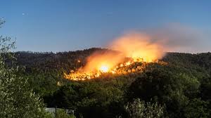 Prévention feux de forêts