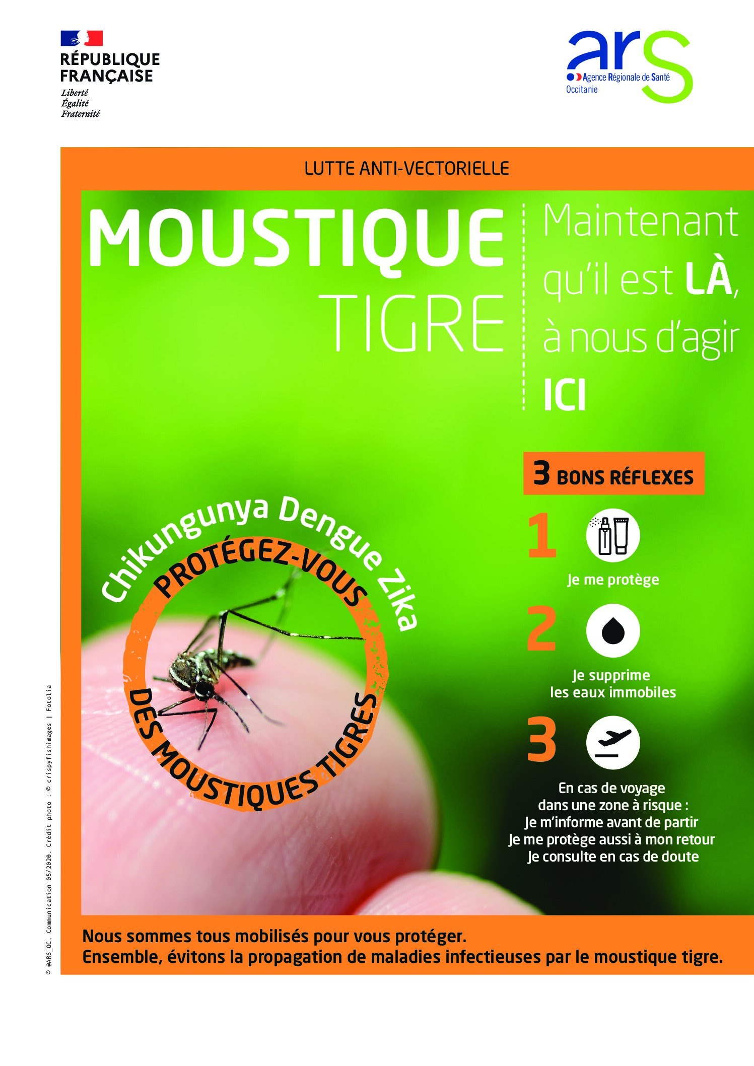 Prévention contre le moustique tigre